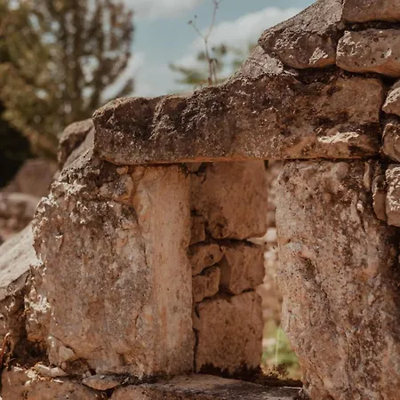 Πανσιόν Les Instants Du Lot